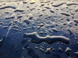 Fjord du Saguenay⁩, QC - 2014-07-09